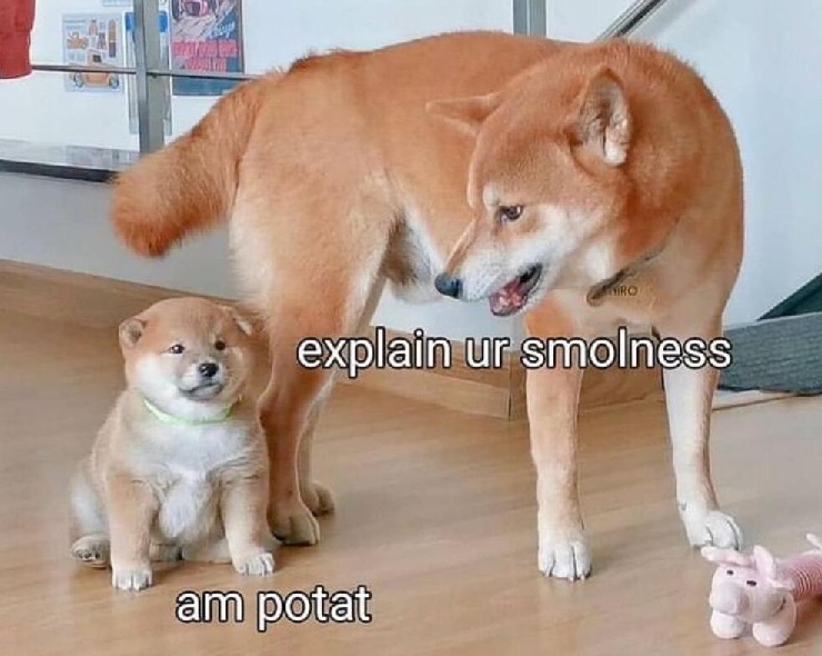 ExplainUrSmolnessMeme.jpg